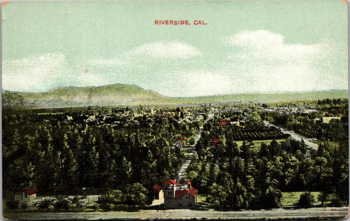 c1908 Birdseye View Riverside California CA American News Co. Postcard c1908 Birdseye View Riverside California CA American News Co. Postcard