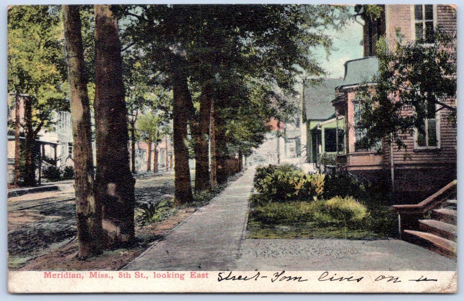 Postcard MS Meridian Mississippi 8th Street Looking East Residences MS22