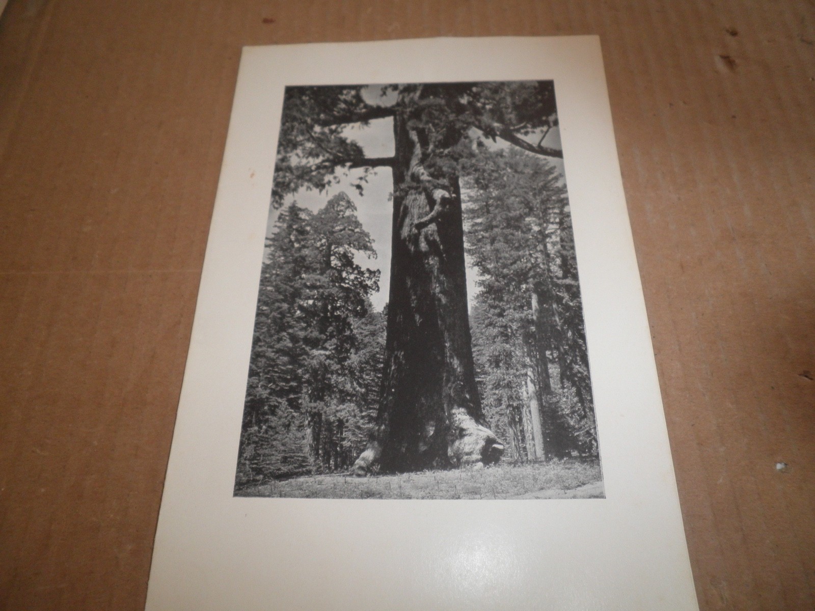 Old original Yosemite National Park The Ahwahnee Breakfast Menu April 10, 1949 Old original Yosemite National Park The Ahwahnee Breakfast Menu April 10, 1949