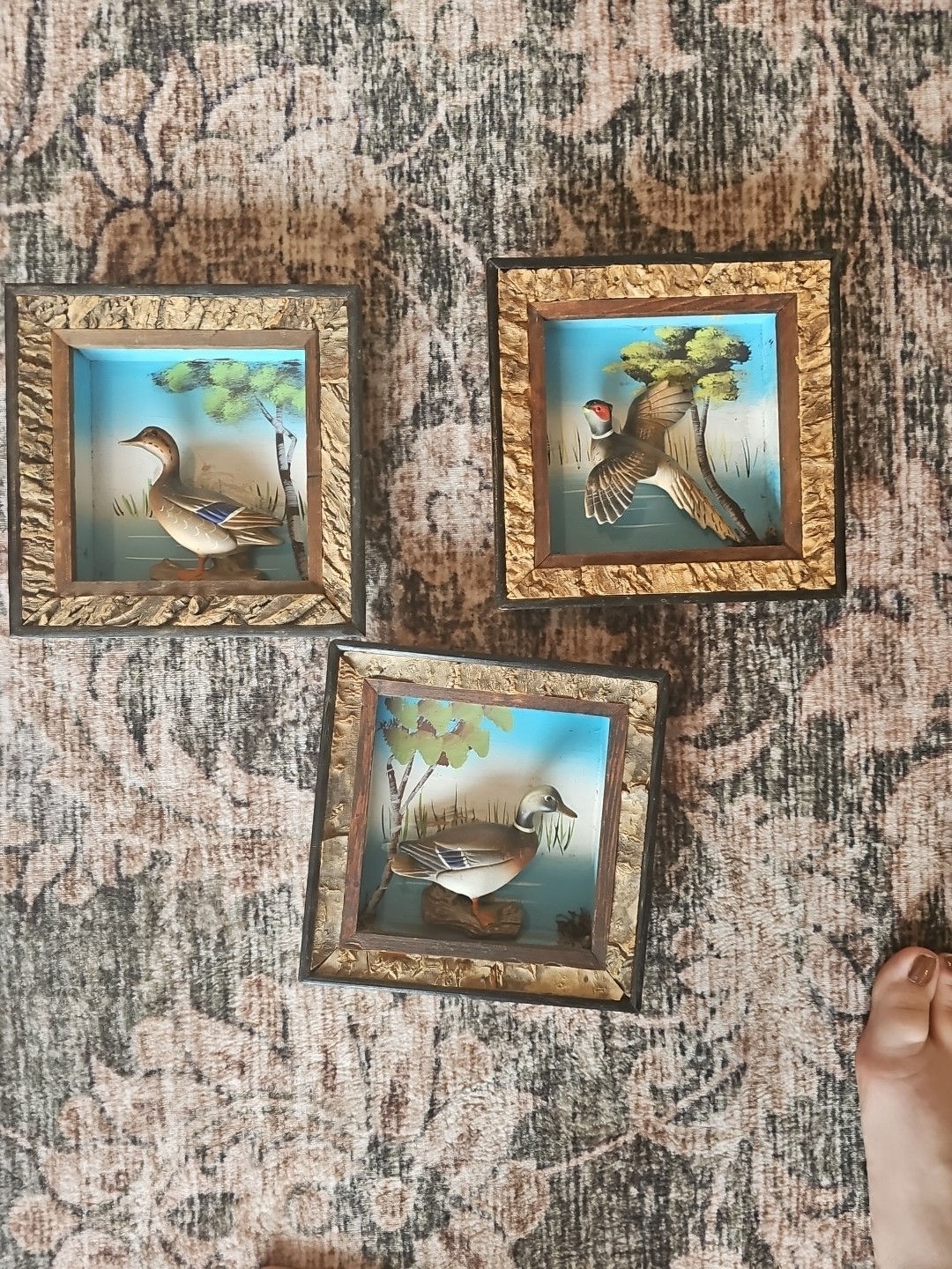 Rare Vintage Set Of 3 Enesco Japan Mallard Duck Bird 3D Diorama W/ Cork Frames