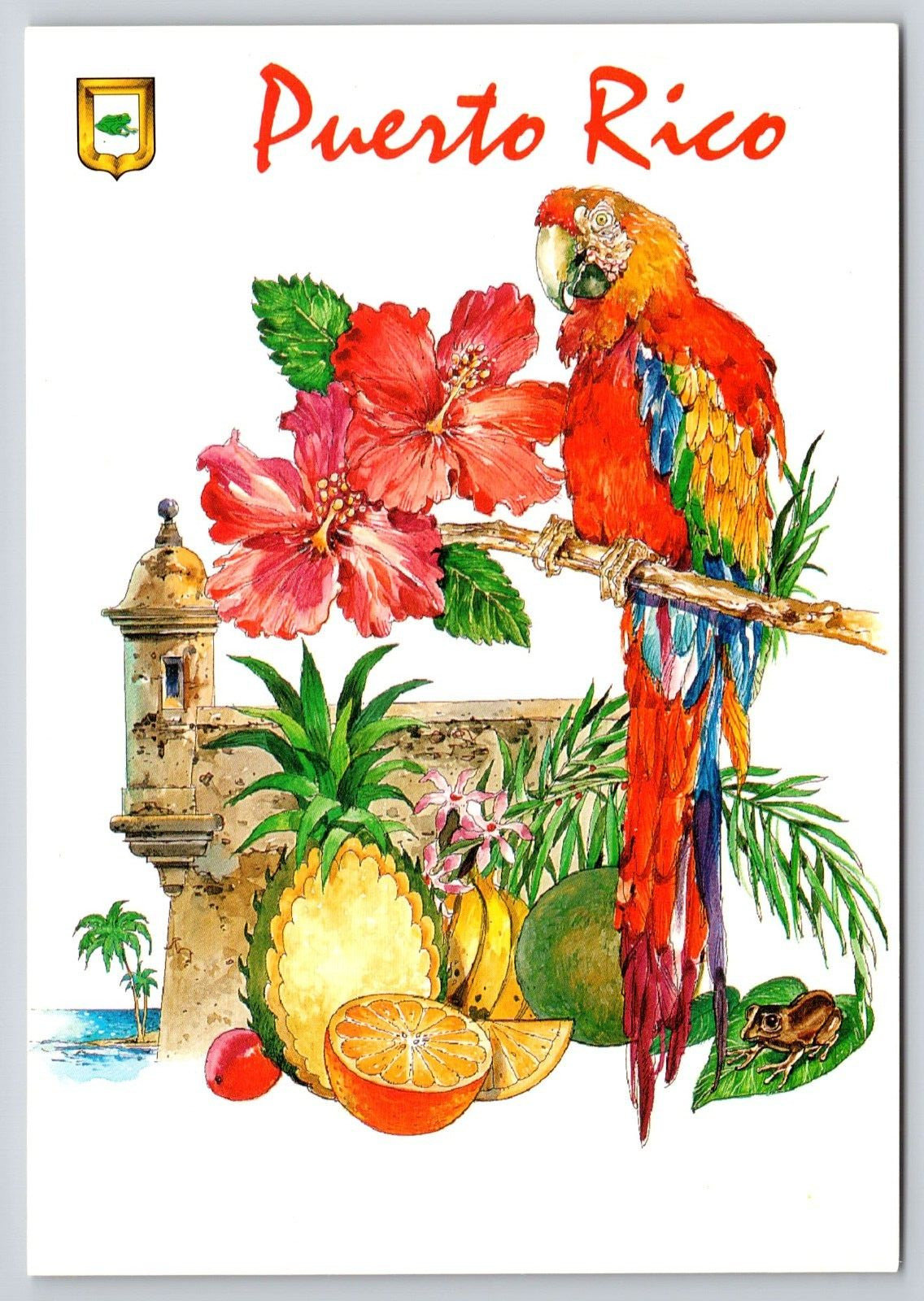 Puerto Rico Map Postcard UNP 6x4 Hibiscus Parrot Pineapple Morro Castle Coqui