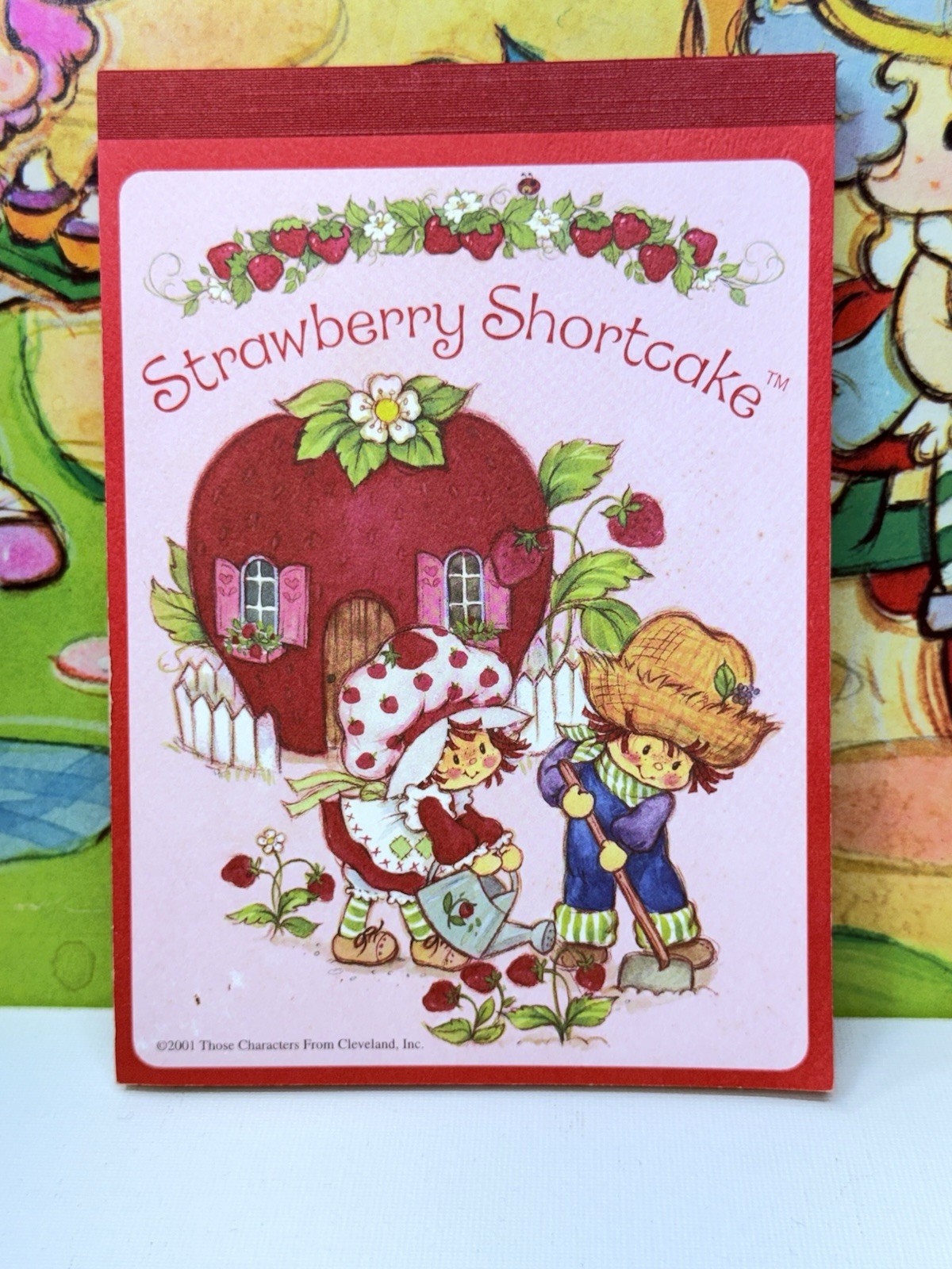 Vintage Strawberry Shortcake Mini Memo Pad Of Note Papers 2001 80 Decor Sheets