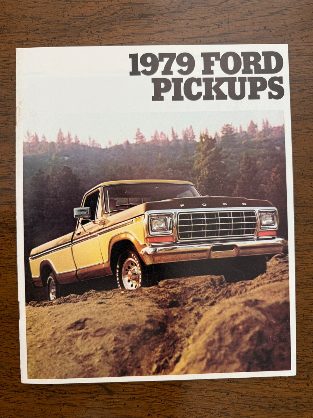 1979 Ford Pickup Trucks Sales Brochure - Original