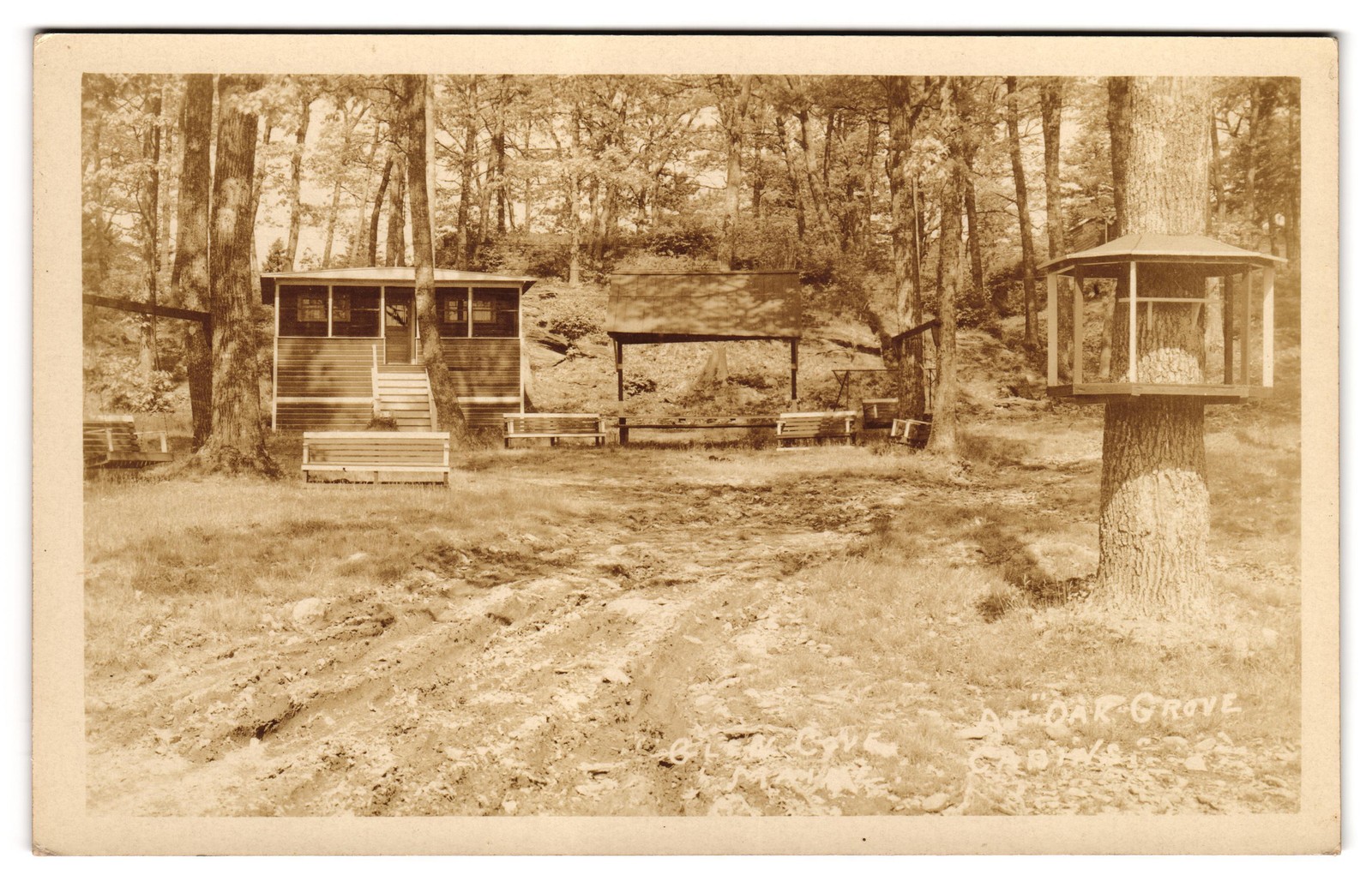 Oak Grove Cabins Glen Cove Maine Camping Camp Scene RPPC Postcard Oak Grove Cabins Glen Cove Maine Camping Camp Scene RPPC Postcard