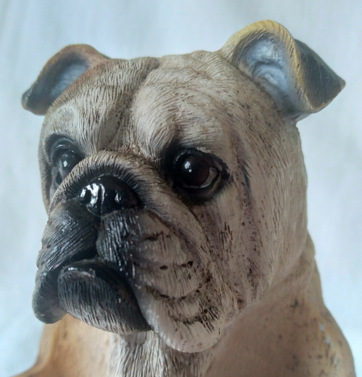 Realistic English Bulldog Holds Glass Salt Pepper Shakers Resin DWK China Unused