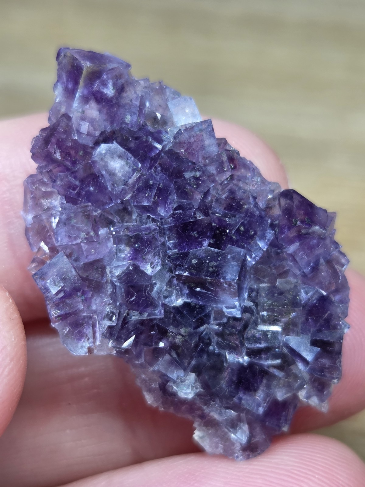 Fluorite from France - Small specimen