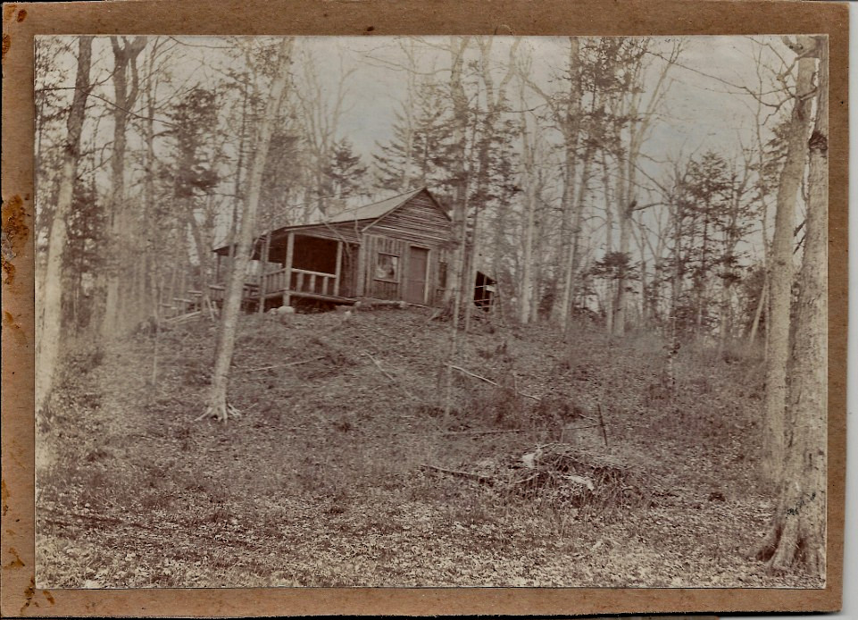 VINTAGE PHOTO-Early Cabin Located in Wooded Area Sepia Cabinet Photo