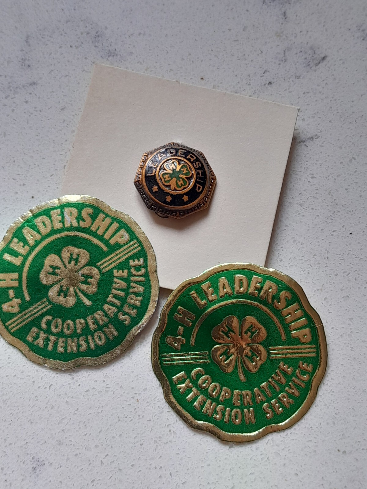 VTG Leadership 4H Club Four-Leaf Clover Green Black Copper Tone Enamel Pin Badge