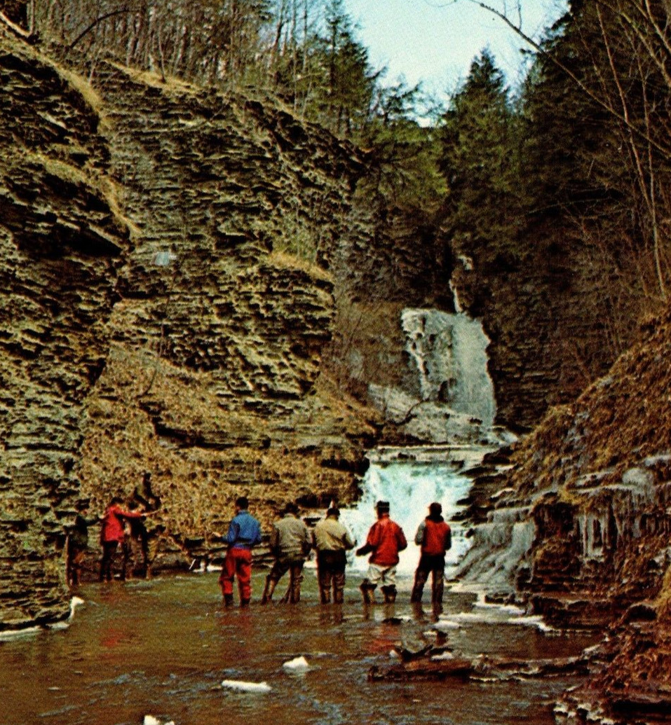 Vintage Post Card Deckertown Falls Rainbow Fishing near Montour New York  D025