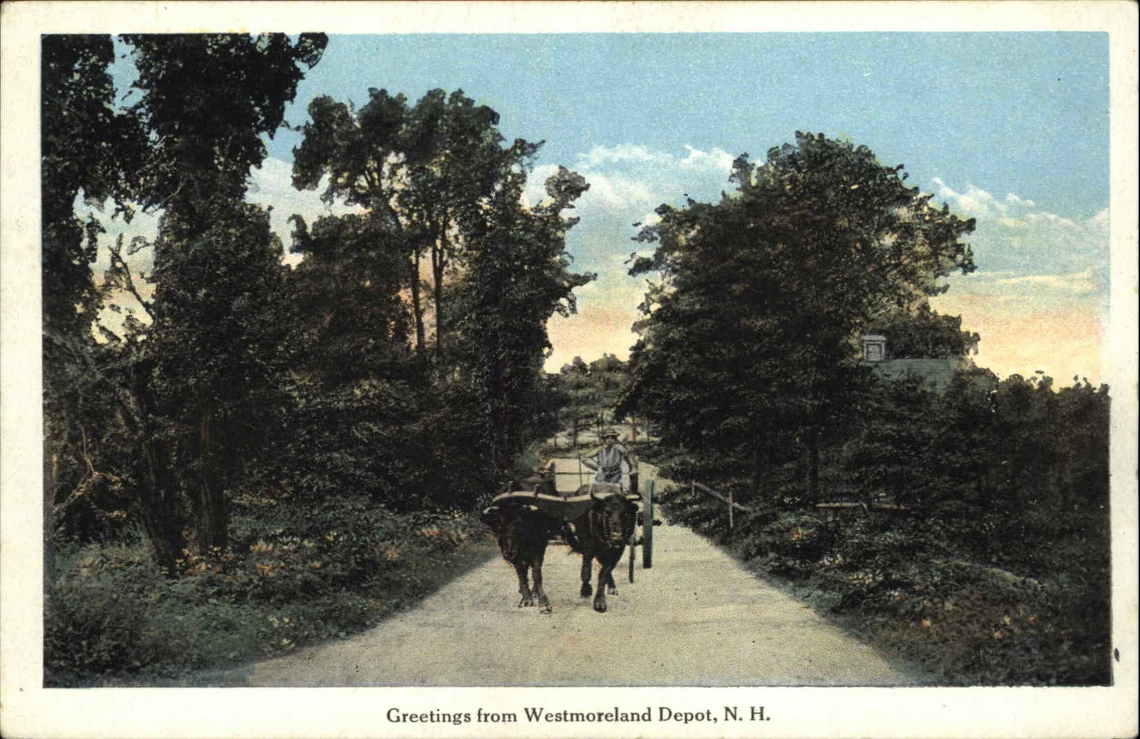 Westmoreland Depot NH New Hampshire Yoked Oxen c1900-20s Vintage Postcard Westmoreland Depot NH New Hampshire Yoked Oxen c1900-20s Vintage Postcard