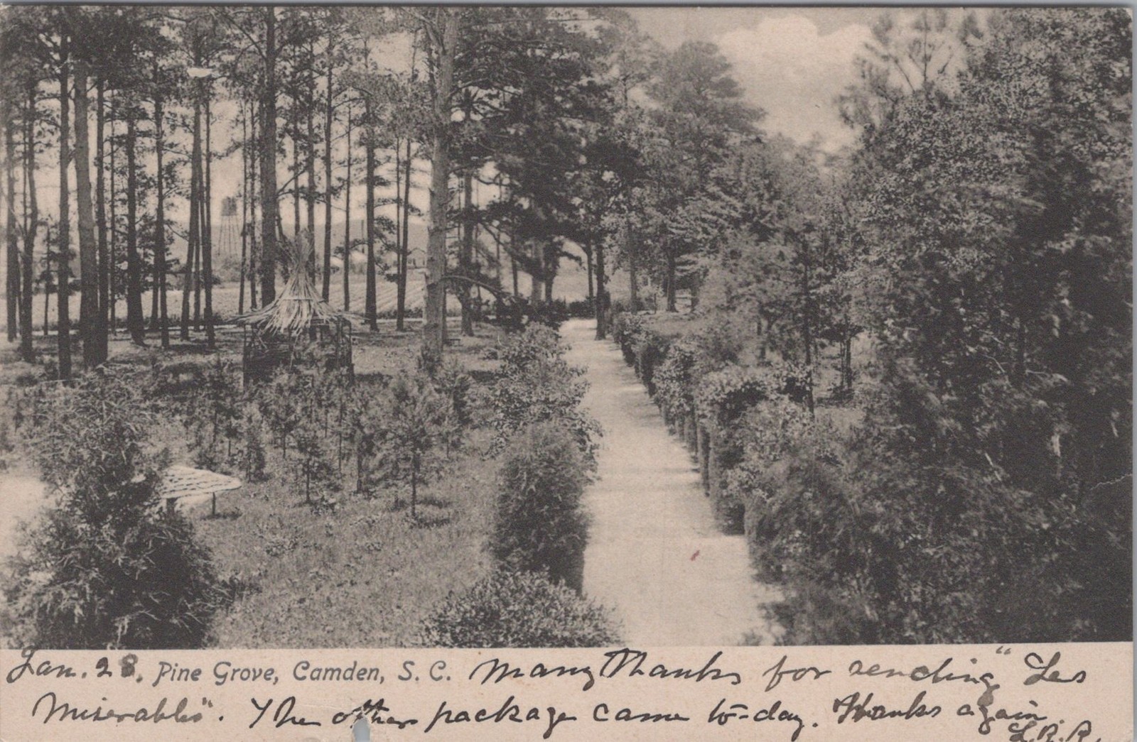 Pine Grove Camden South Carolina SC 1900s Rotograph Park Scene Postcard