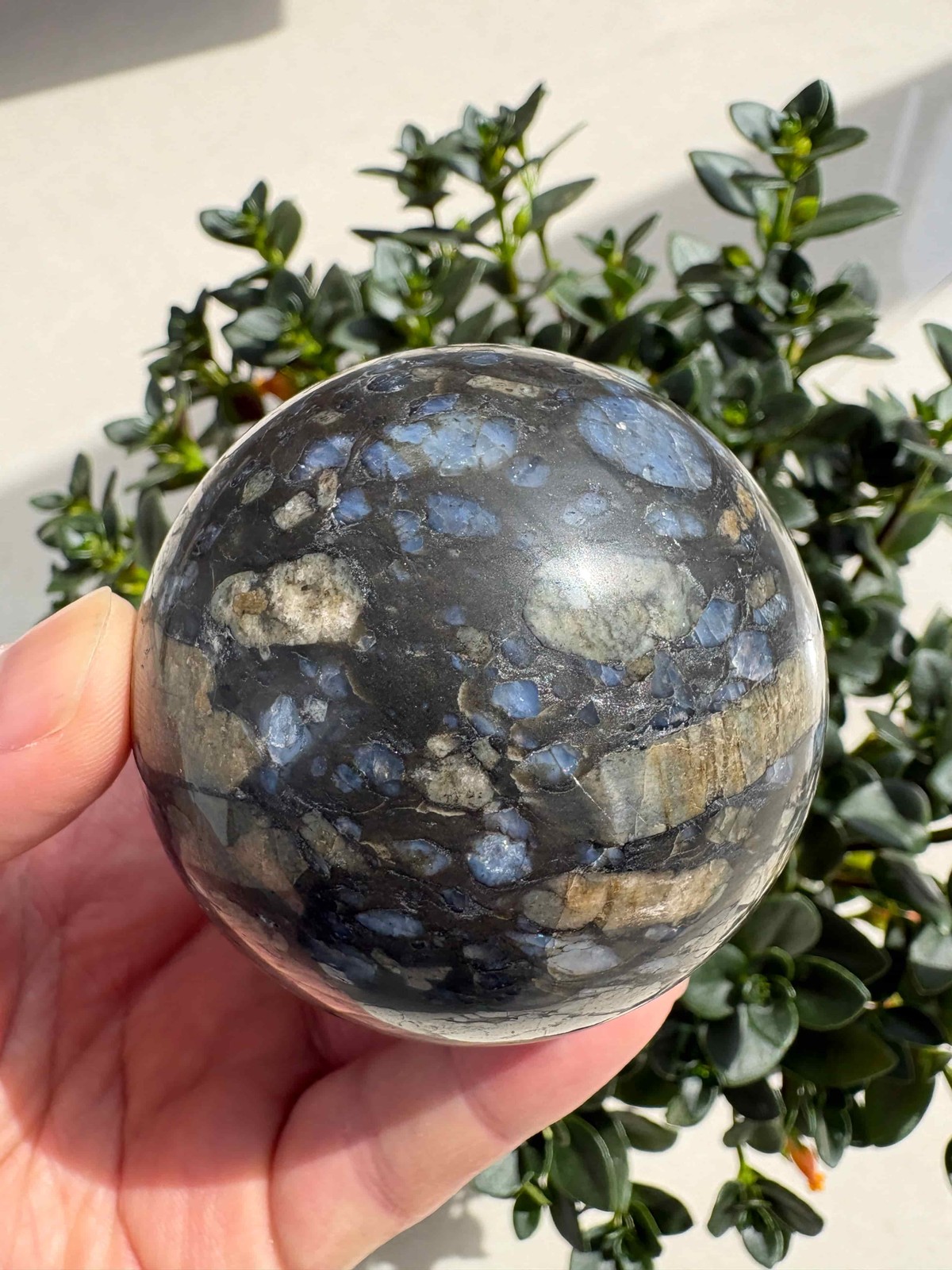 Natural Que Sera Stone Sphere 2.6\