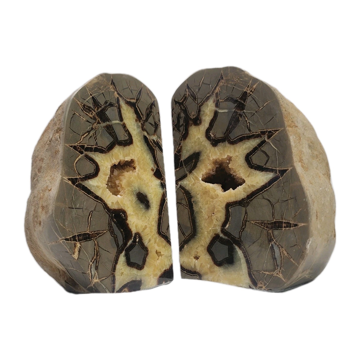 Set Of 2x LG Utah Septarian Nodule Set Of 2x LG Utah Septarian Nodule