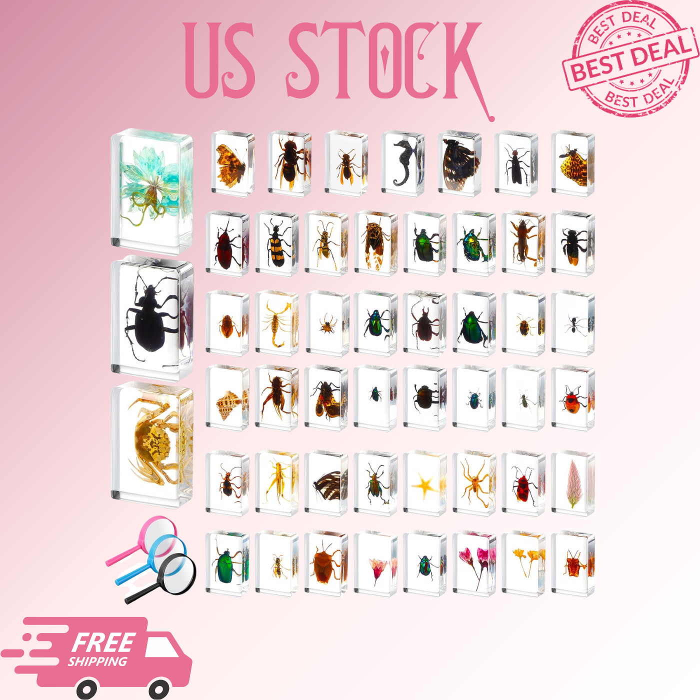 NEW 50PCS Insect Resin Specimen Collection with 3 Magnifiers Educational Bug Kit NEW 50PCS Insect Resin Specimen Collection with 3 Magnifiers Educational Bug Kit