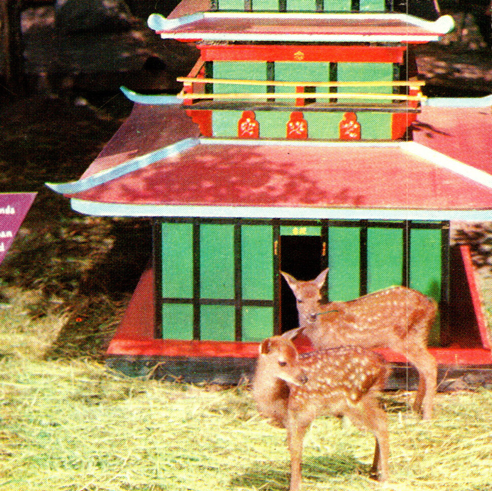 Vintage 1960s Japanese Sika Deer Pagoda Nursery Catskill Game Farm Postcard NY Vintage 1960s Japanese Sika Deer Pagoda Nursery Catskill Game Farm Postcard NY