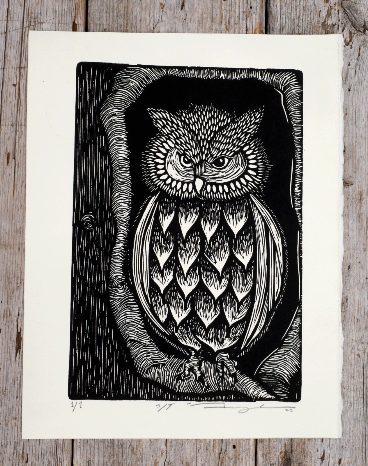 Wise Old Owl Woodcut Print Handmade & Hand Printed Un-Framed Mexican Folk Art Lg