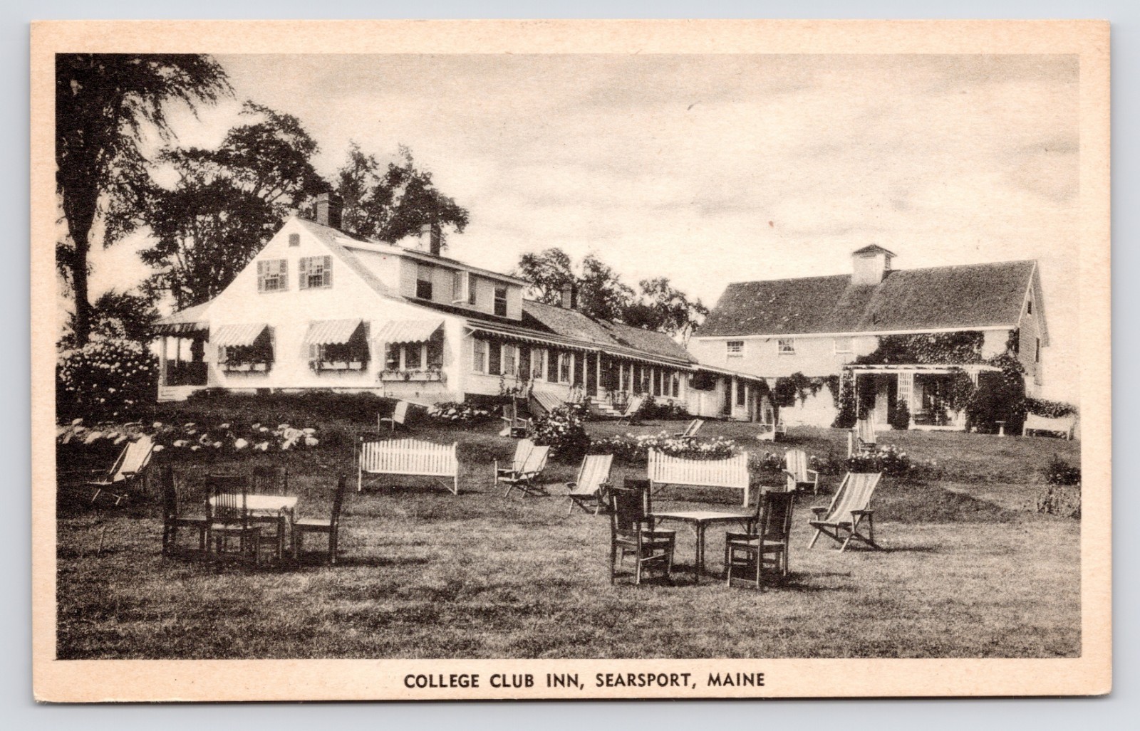 College Club Inn Penobscot Bay Captain House Searsport Maine ME Postcard 1950s