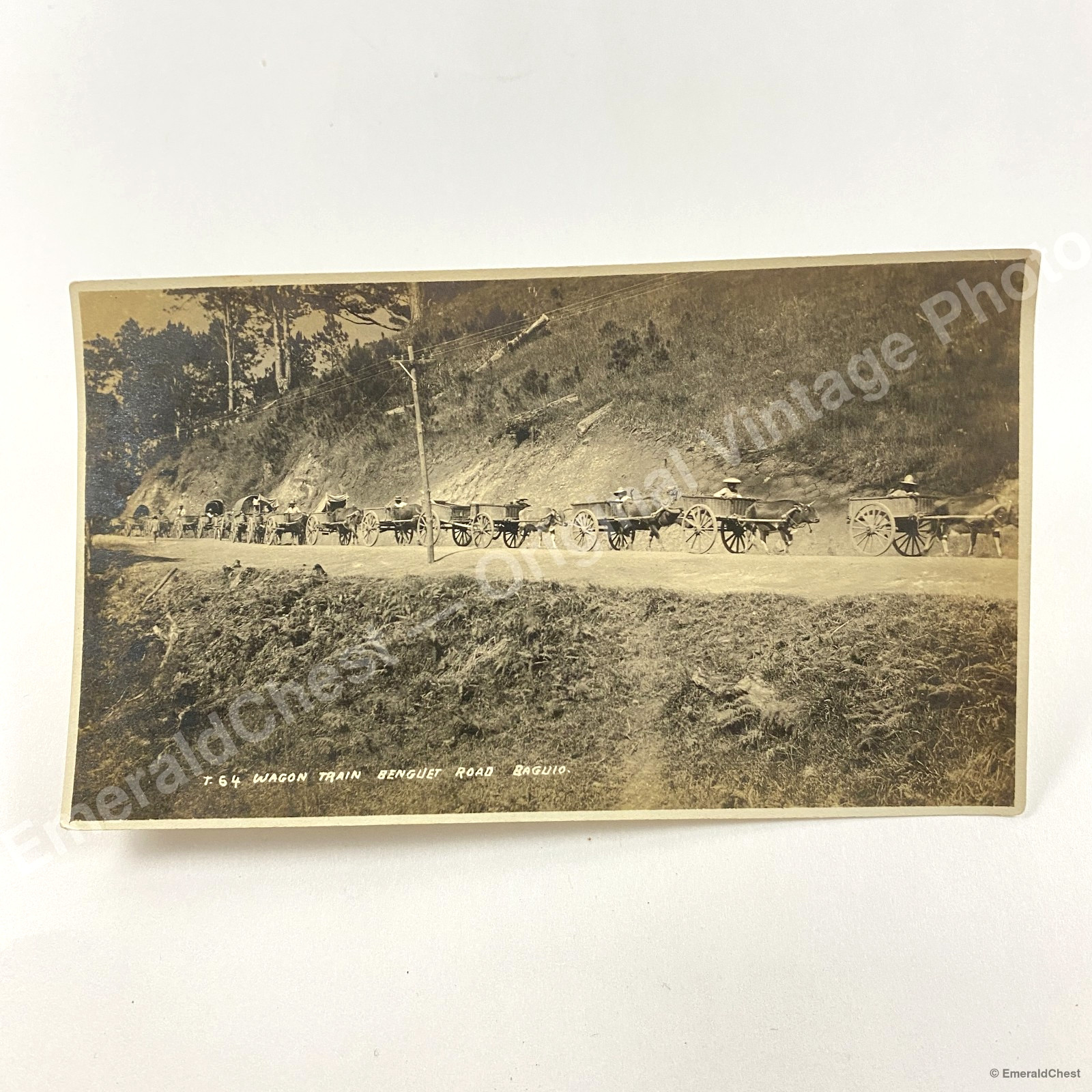 c.1910 Wagon Train Benguet Road Baguio Philippines Ox Carts Mountain Pass