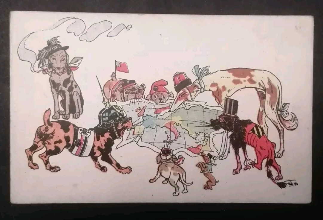 Postcard, Satirical, 1914, WWI Postcard, Satirical, 1914, WWI