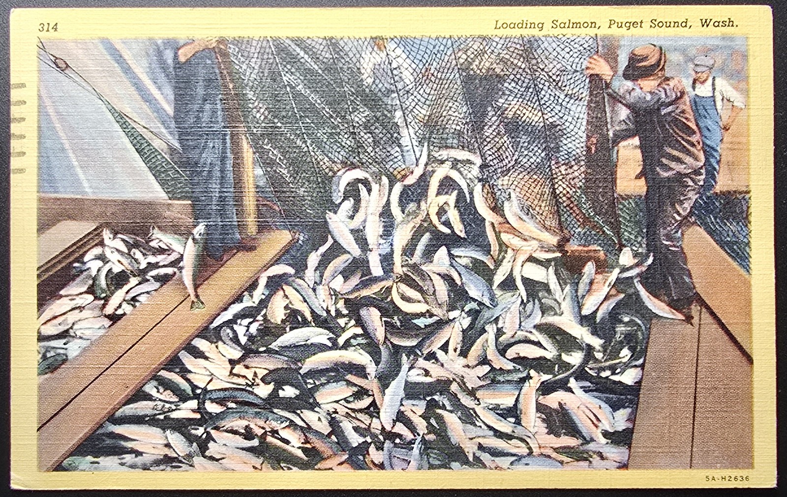 Loading Salmon Puget Sound Wash Linen Postcard 1950 Aberdeen WA Teich