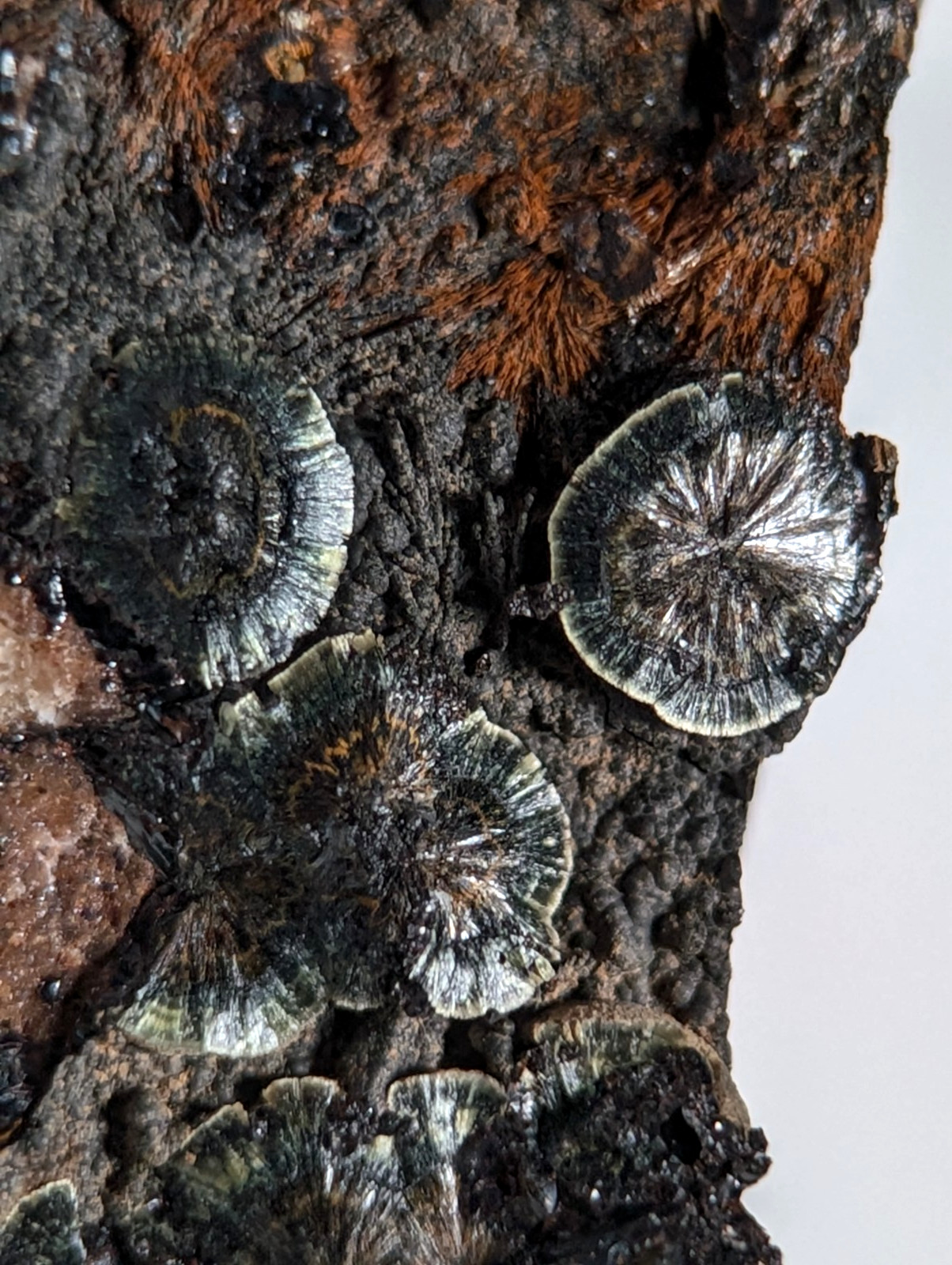 Rare Kidwellite on Novaculite - Coon Creek, Polk County, Arkansas, w/ photo case Rare Kidwellite on Novaculite - Coon Creek, Polk County, Arkansas, w/ photo case