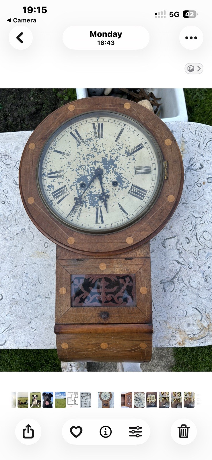 Antique 19th Century Rosewood Burl Drop Dial Inlaid Wall Clock 