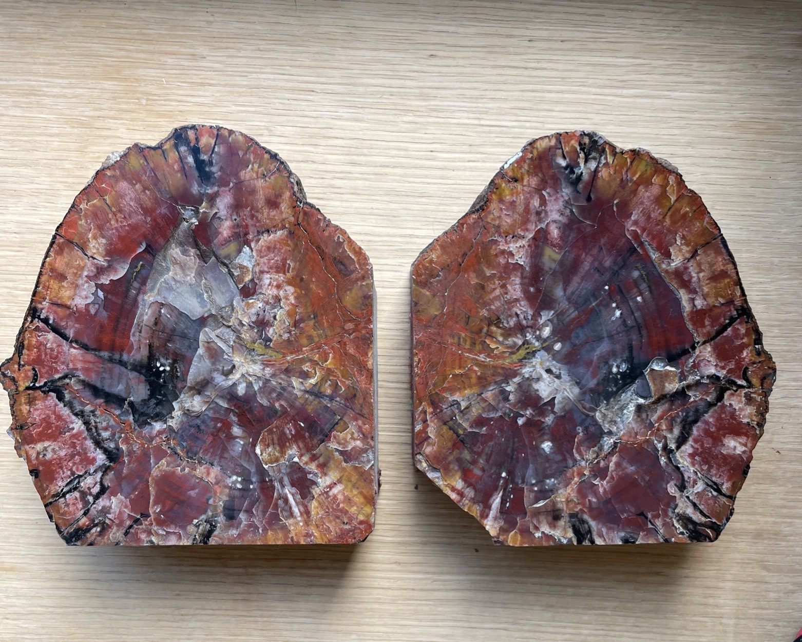 15.4lb Rare pair Natural petrified wood rough fossil mineral specimen healing 15.4lb Rare pair Natural petrified wood rough fossil mineral specimen healing