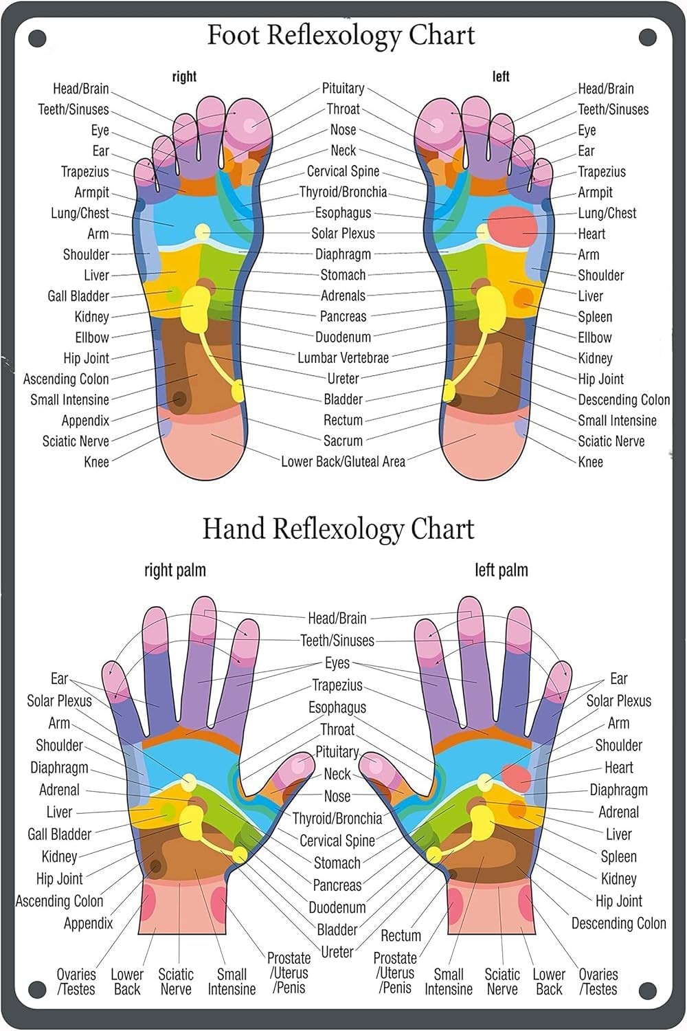 Hand Foot Reflexology Chart Tin Metal Signs Home Décor Poster Wall Art Plaque fo Hand Foot Reflexology Chart Tin Metal Signs Home Décor Poster Wall Art Plaque fo