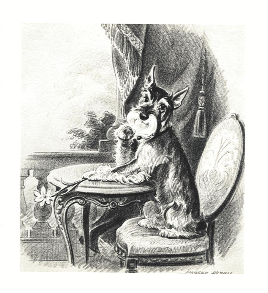 Schnauzer - CUSTOM MATTED - Dog Art Print - Morgan Dennis