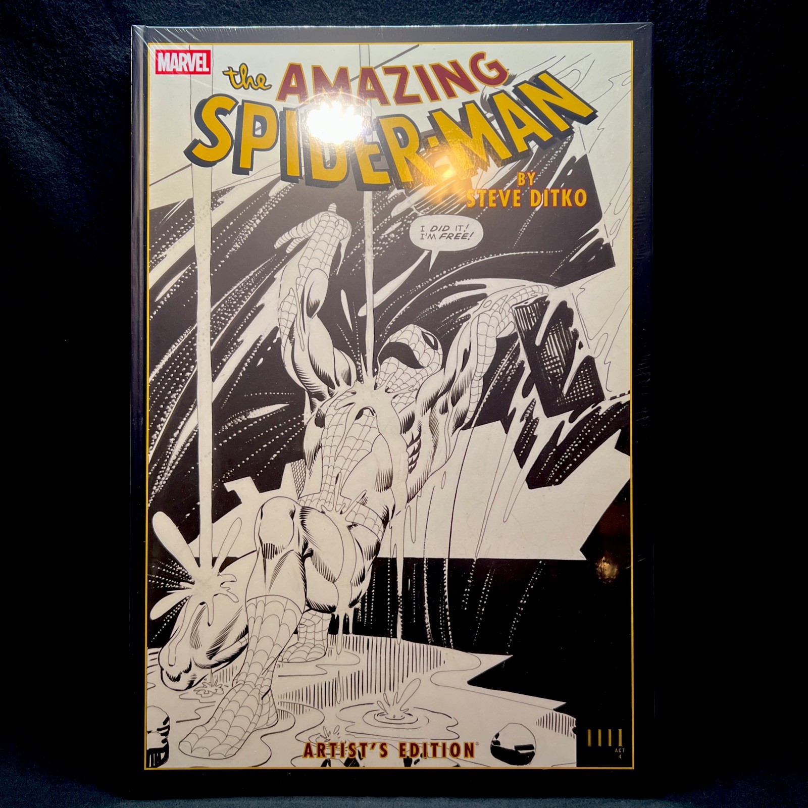 Amazing Spider-Man By Steve Ditko Artists Edition Rain Cover New 2026