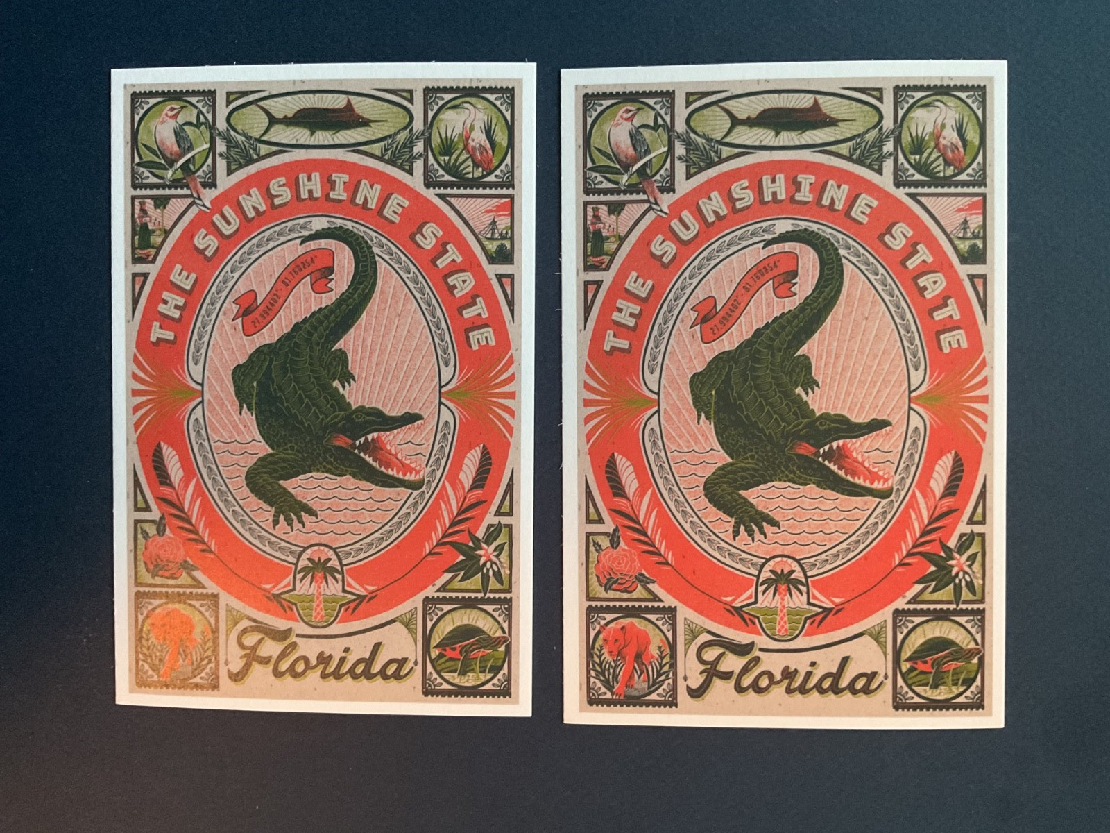 Florida FL Sunshine State Alligator Gator Lantern Press Postcard (2)