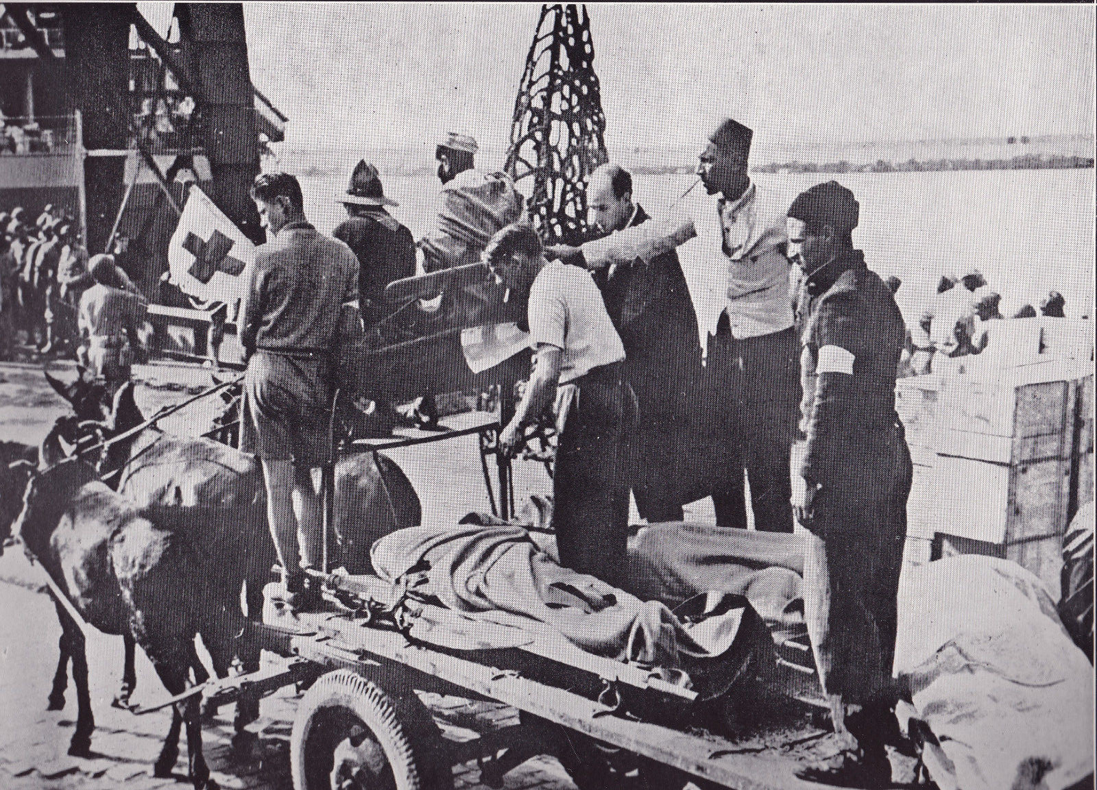 Red Cross Wagon Hauling Dead Soldiers WWII Dispatch Photo News Service Red Cross Wagon Hauling Dead Soldiers WWII Dispatch Photo News Service