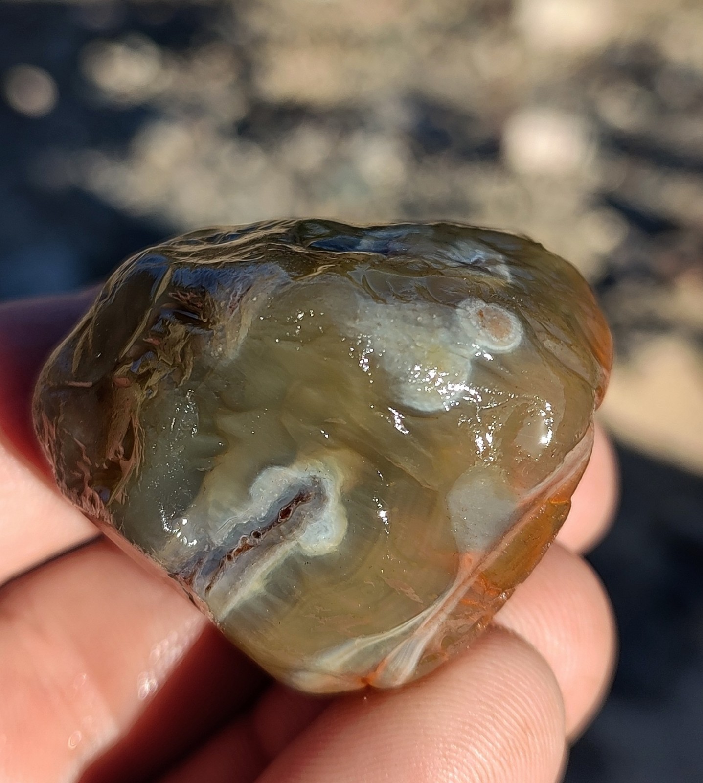 Lake Superior Agate, 2.4oz Unique Green Chalcedony, Tube Display Agate Lake Superior Agate, 2.4oz Unique Green Chalcedony, Tube Display Agate
