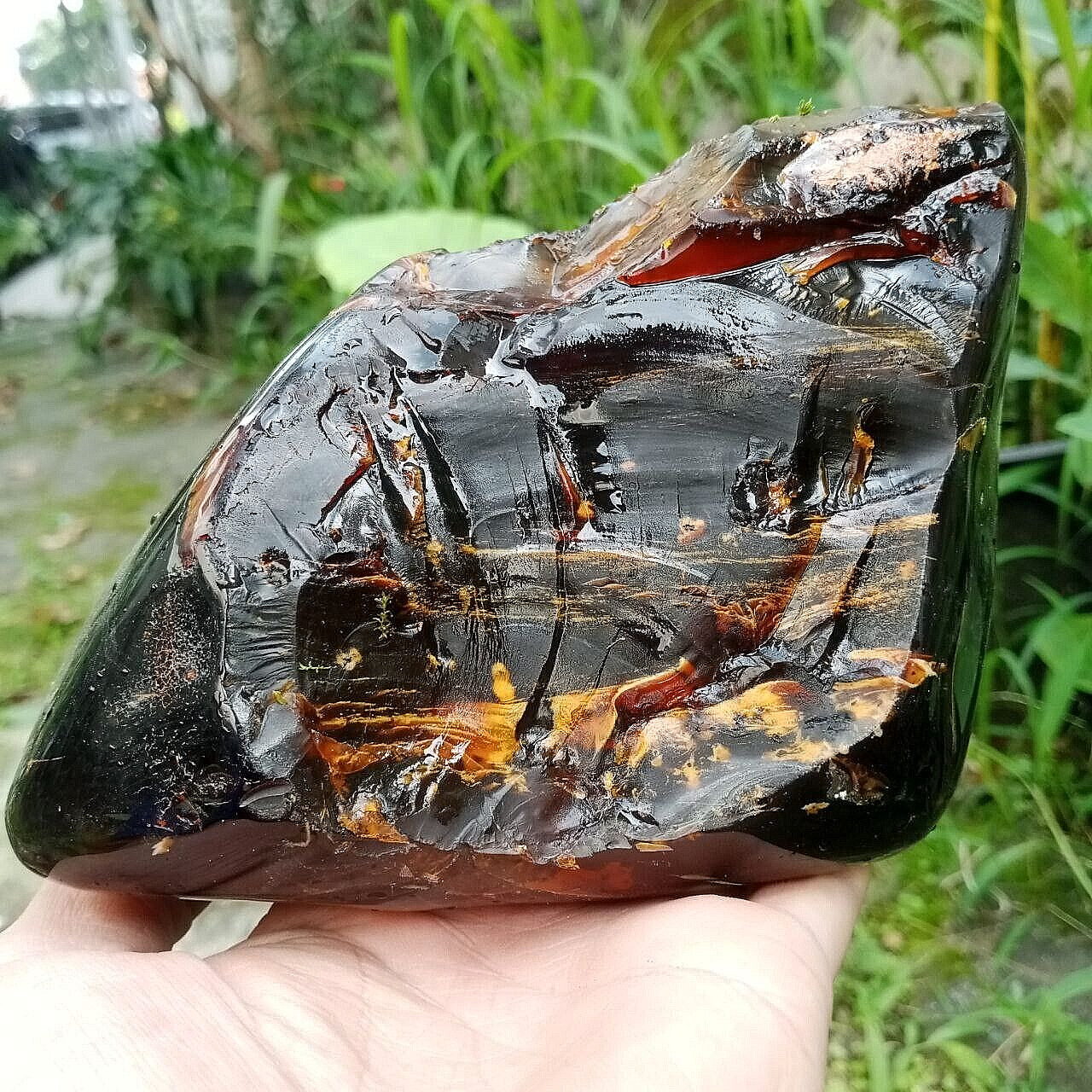 443GR Natural Amber  Partly Polished, Dark Reddish Brown, A Circular Holer
