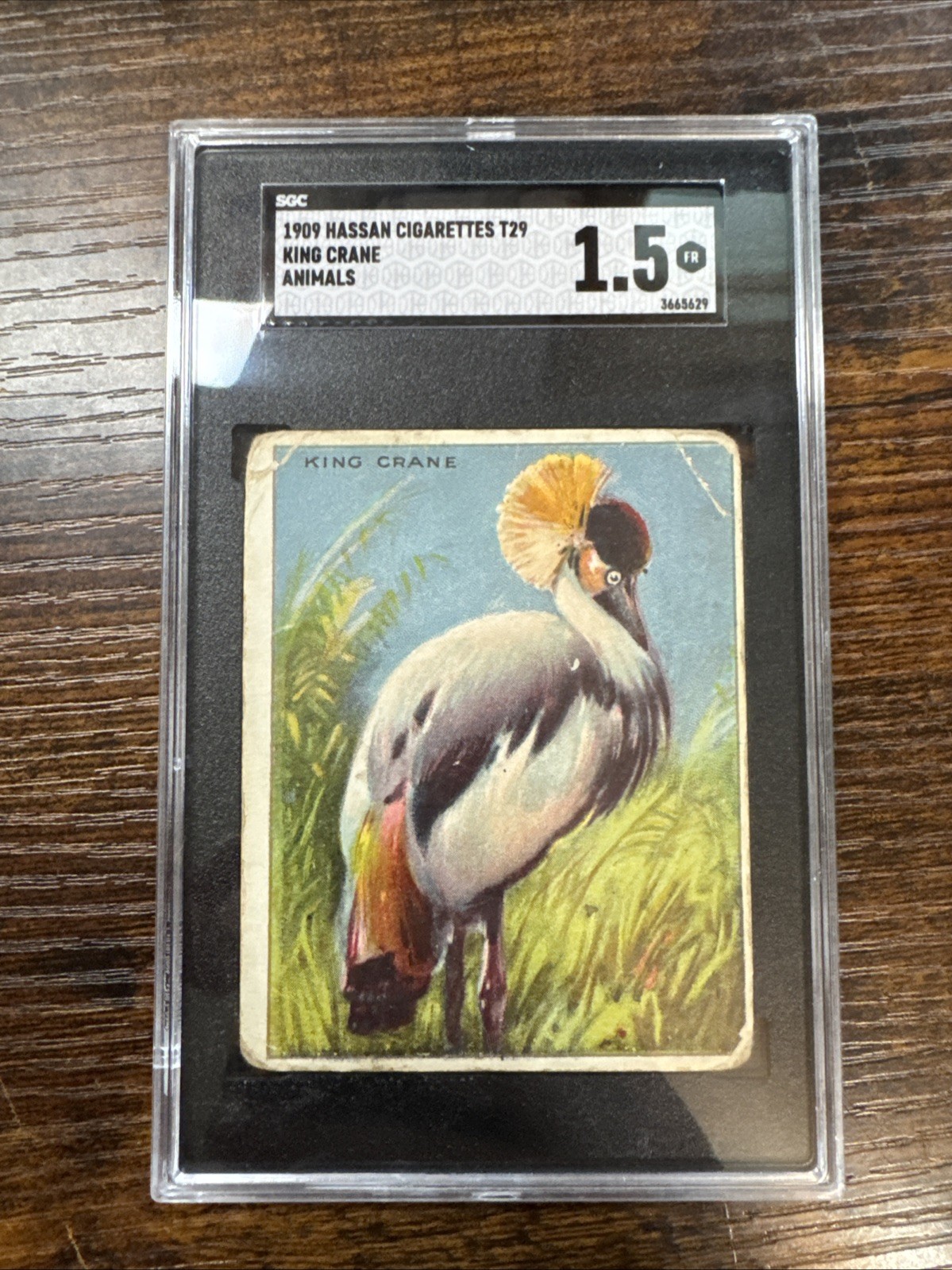 1909 t29 hassan Animals, Good Color Sgc Graded 1.5 King Crane 1909 t29 hassan Animals, Good Color Sgc Graded 1.5 King Crane