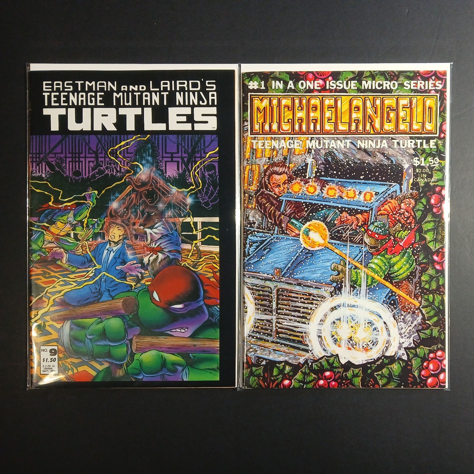 Teenage Mutant Ninja Turtles Comic Book Lot Teenage Mutant Ninja Turtles Comic Book Lot