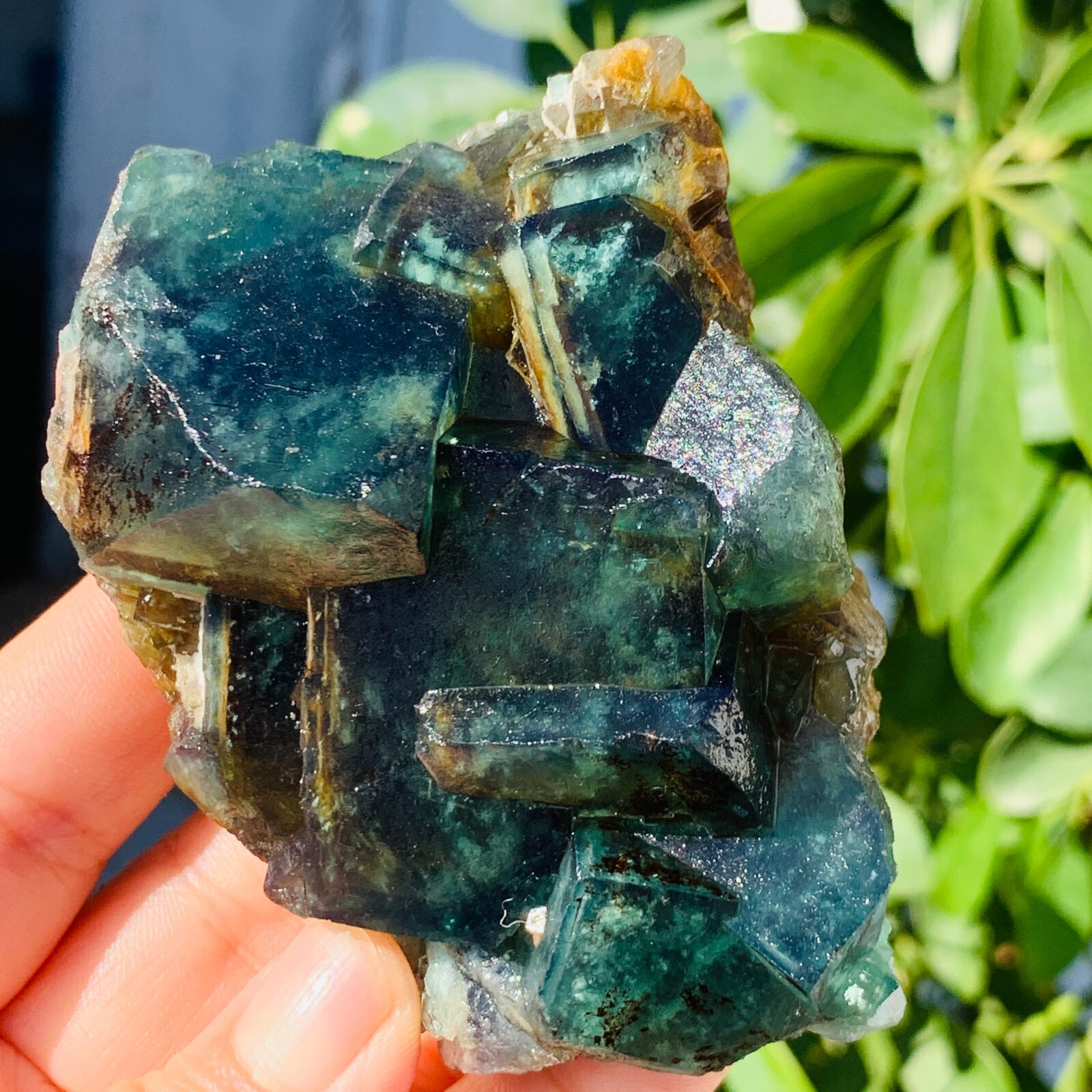 296g Rare Transparent Green Cube Fluorite Mineral Crystal Specimen Healing