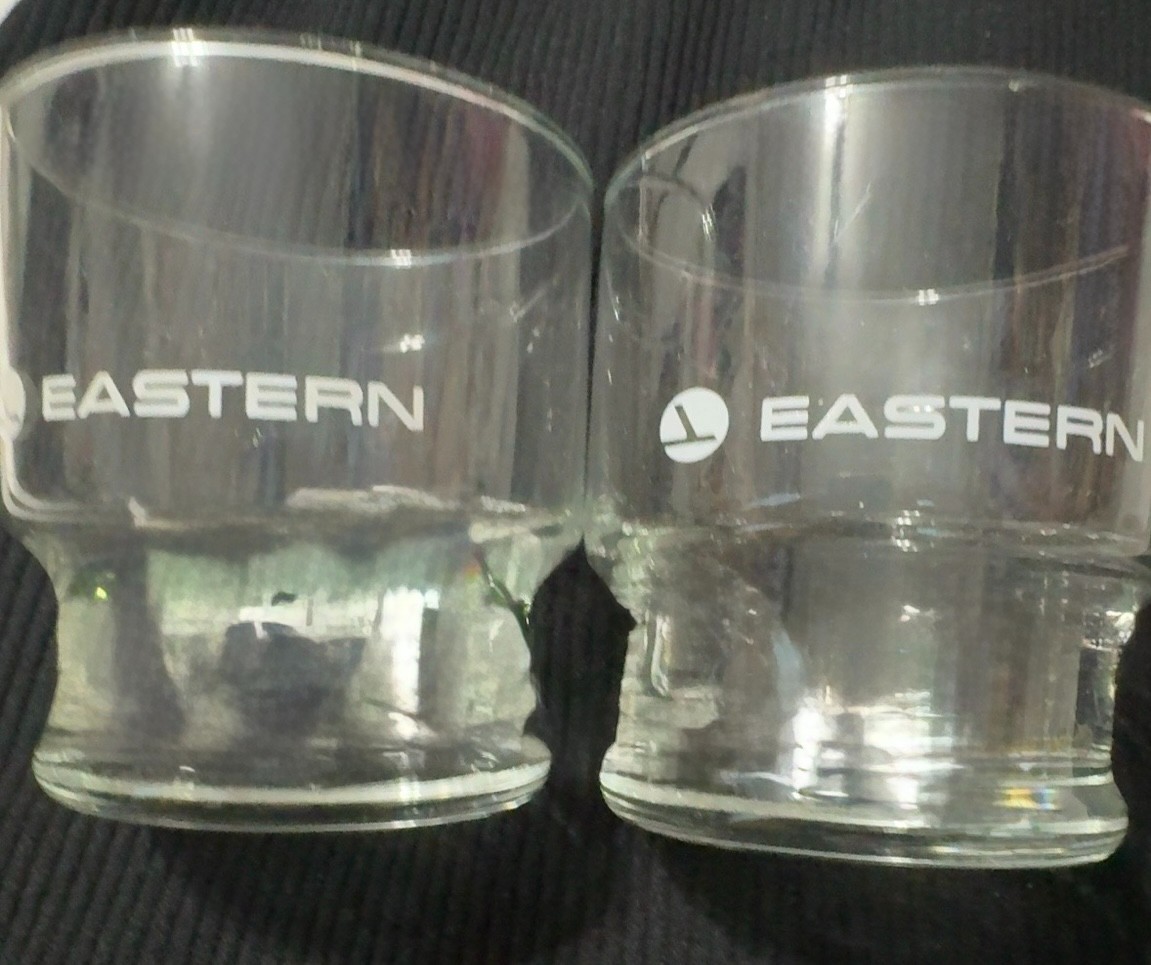 Vintage Eastern Air Lines Drinking Glasses Set of 2 Original Airline Barware