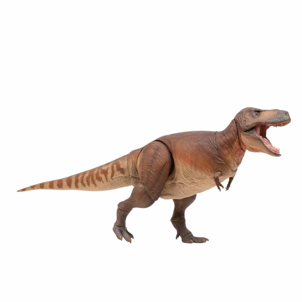 Tyrannosaurus Articulated Tyrannosaurus Articulated