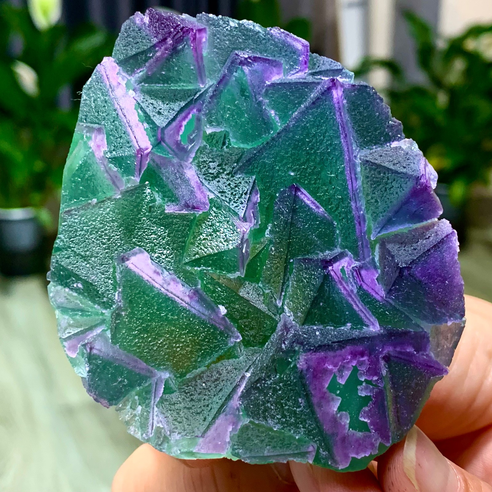 215G Natural  green purple cubic Zhejiang fluorite mineral sample crystal