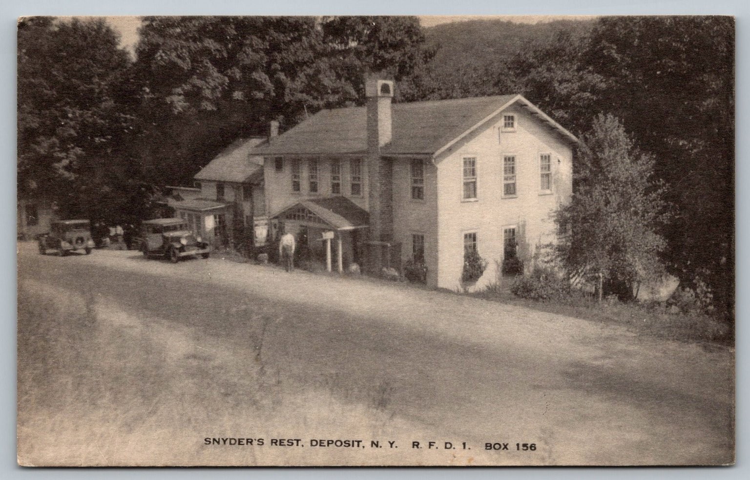 Vintage Snyder\'s Rest Deposit NY Postcard Eagle Quality