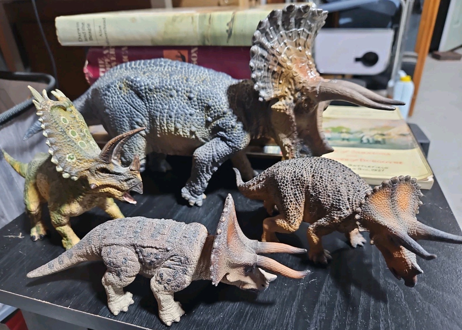 PNSO And MOJO Triceratops Realistic Dinosaur Lot 