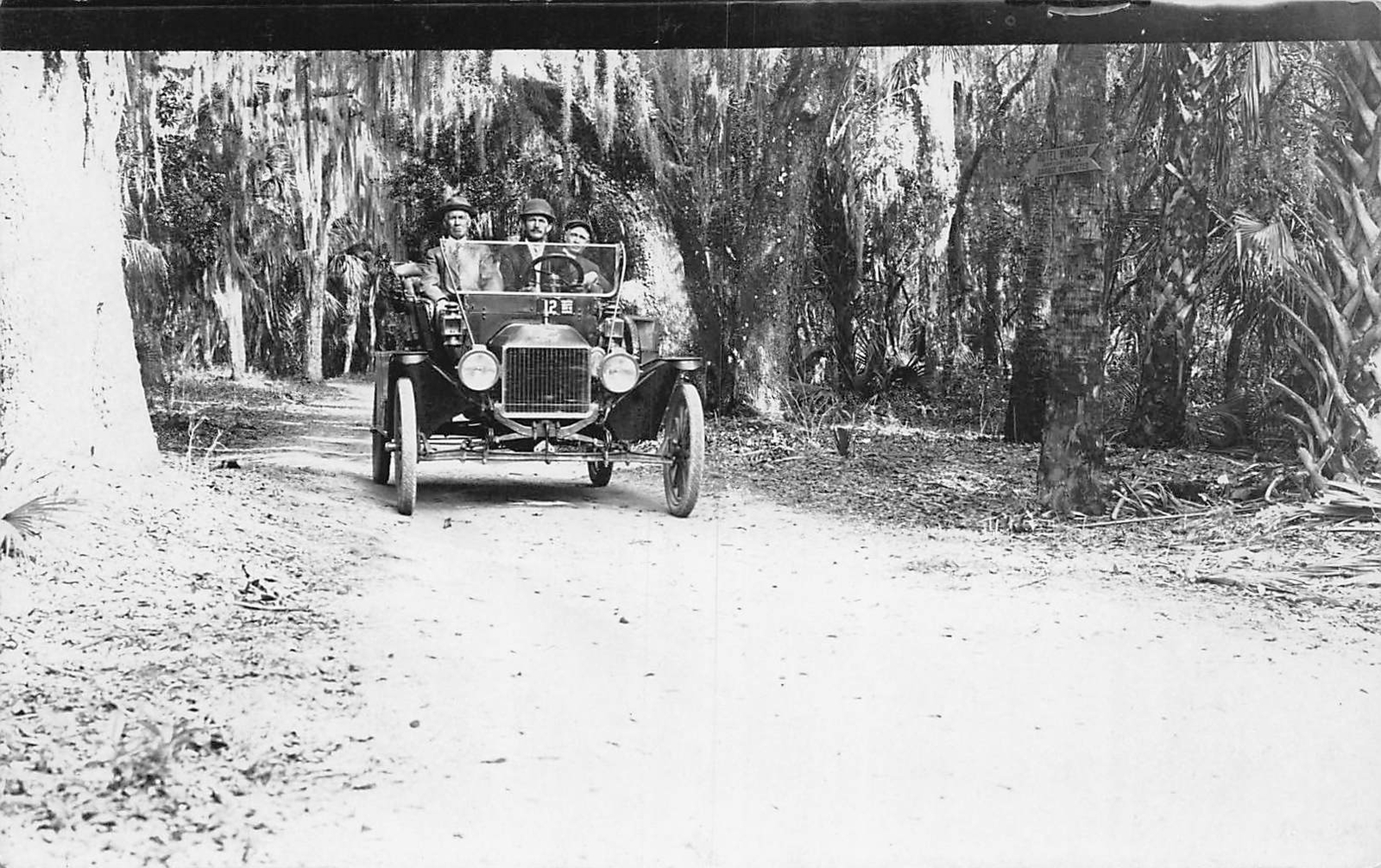 J79/ St Petersburg Florida RPPC Postcard c1910 Early Automobile Forest 110