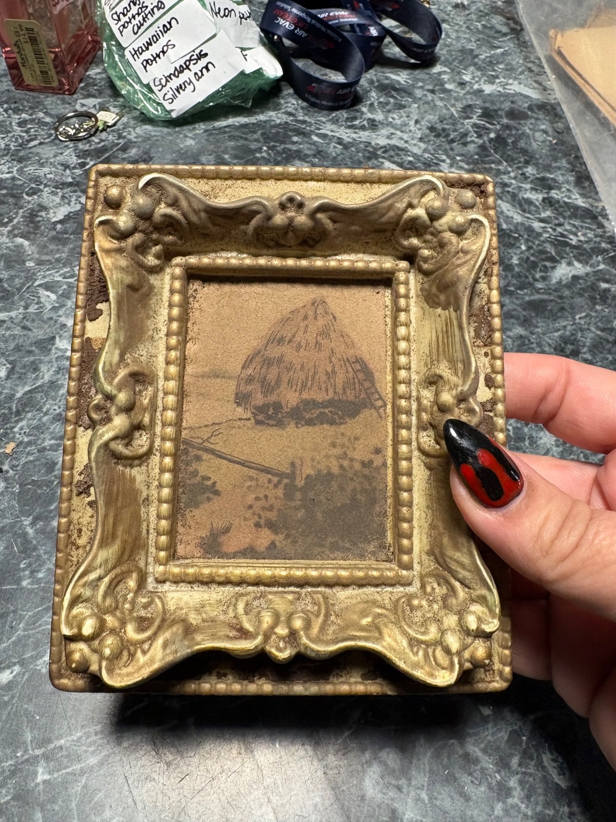 vintage pictures photo