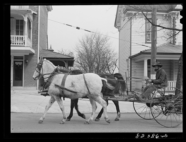 Photo:Honey Brook Pennsylvania Amish Farmer Driving Horse Cultivator 1942