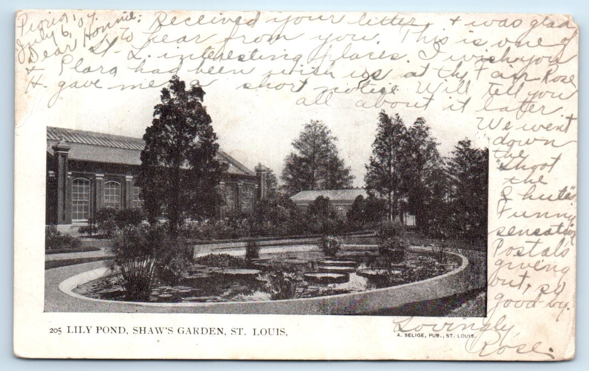 Lily Pond - Shaw\'s Garden - St. Louis MISSOURI 1904 UDB Postcard