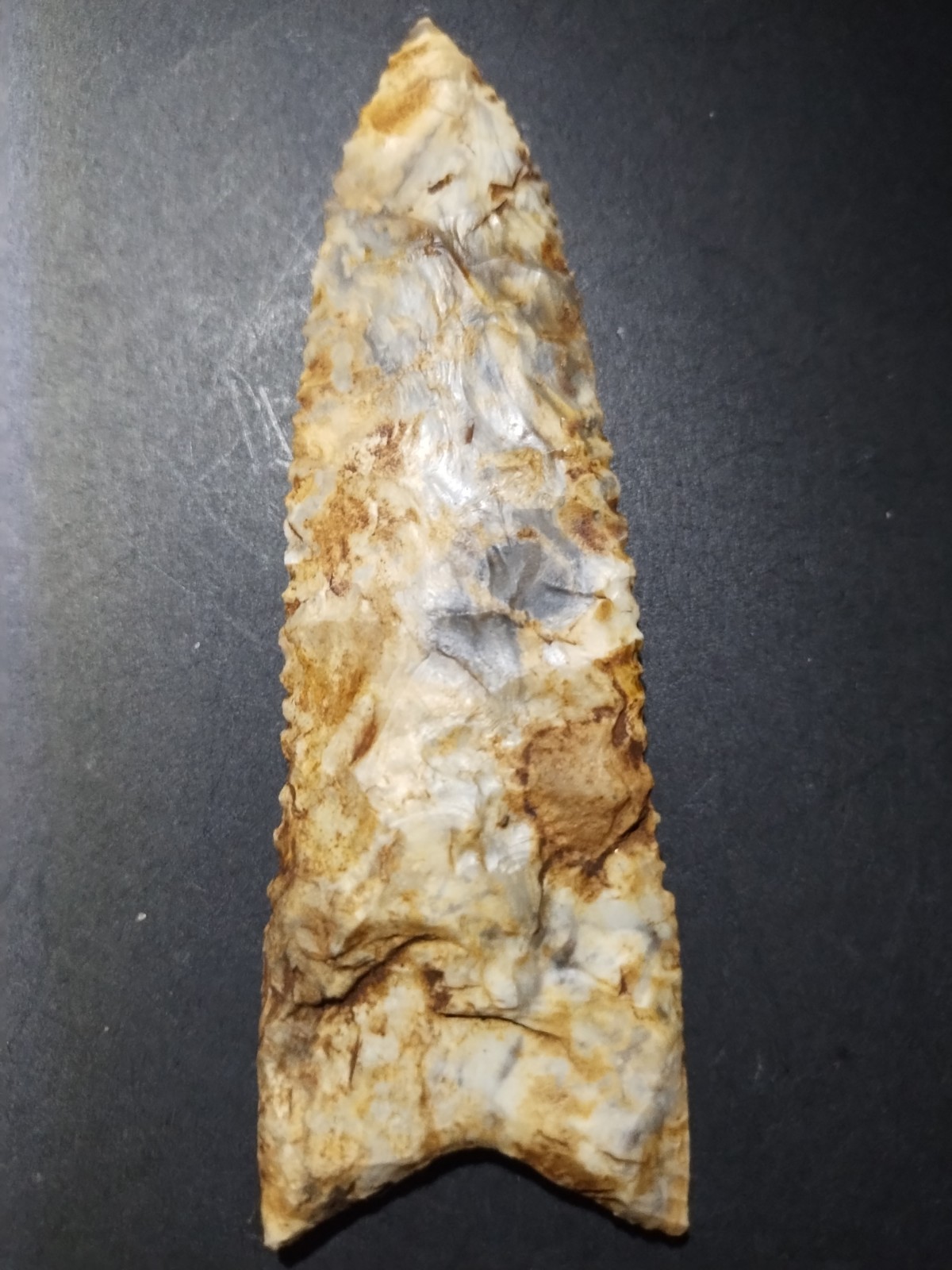 Fine Authentic Early Large Paleo Alabama Dalton 4 1/2 Fine Authentic Early Large Paleo Alabama Dalton 4 1/2