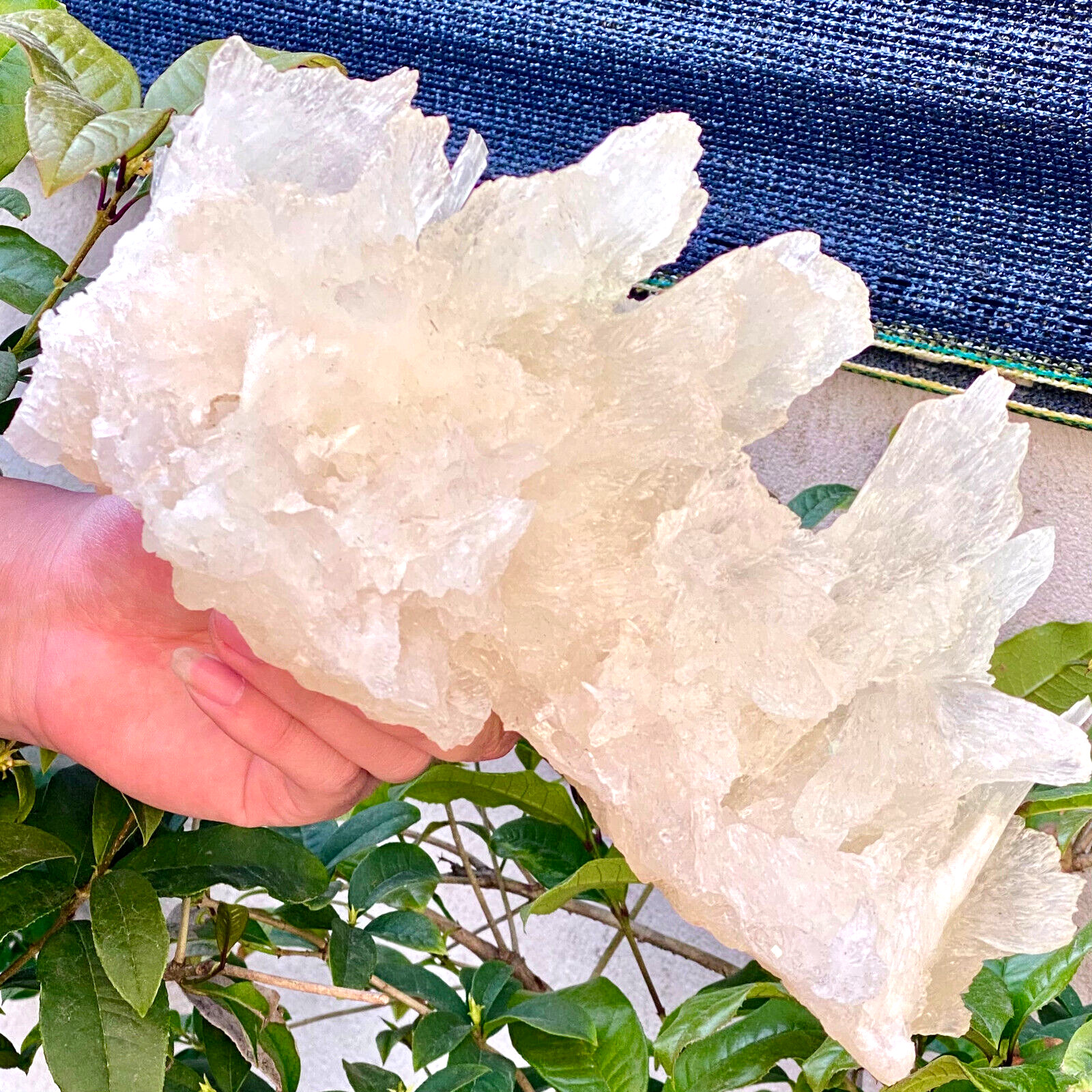 4.8LB  Larger Bright White CAVE Aragonite STALACTITE Crystal Cluster