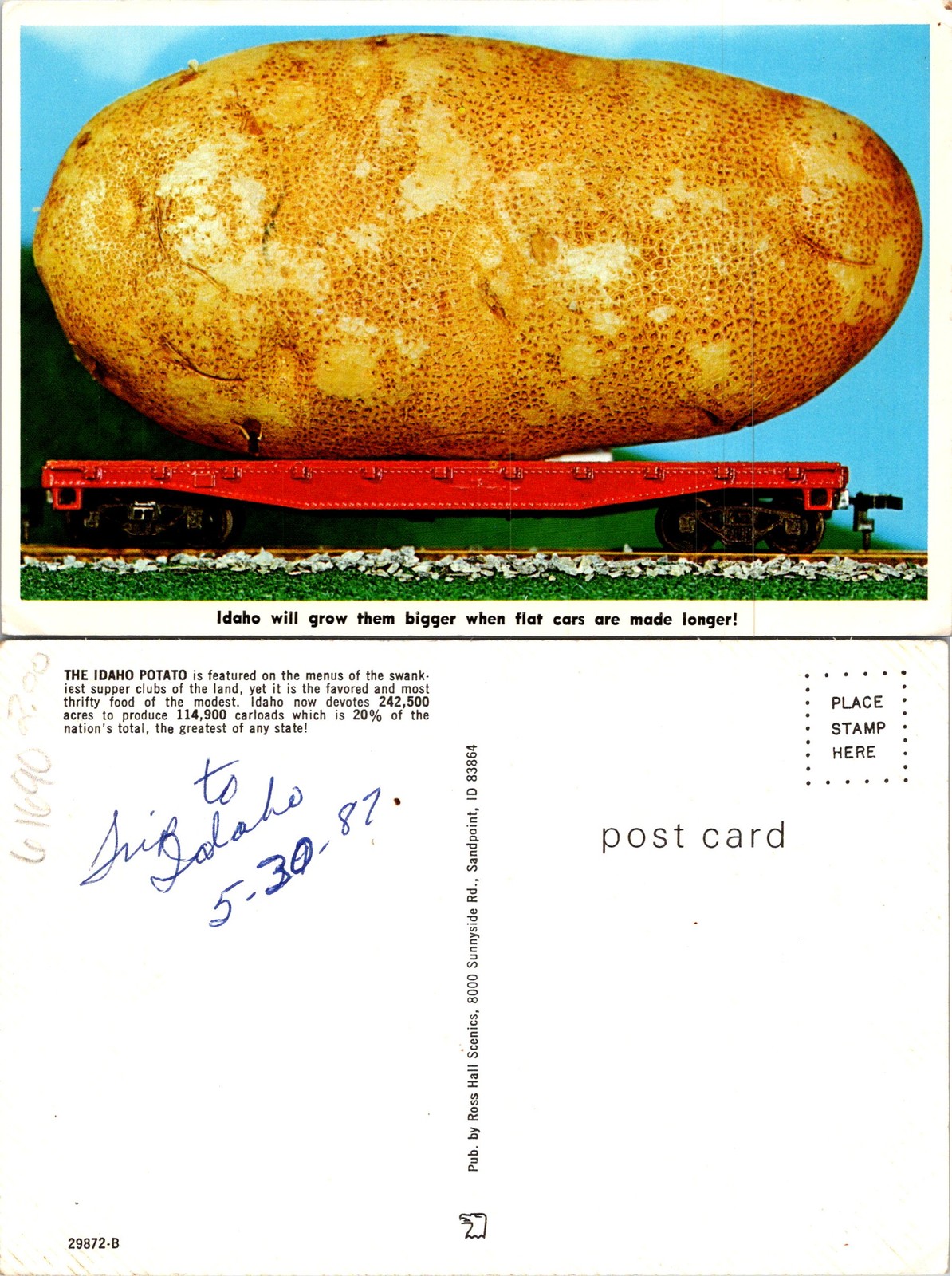 Idaho ID The Idaho Potato Huge Postcard 61690