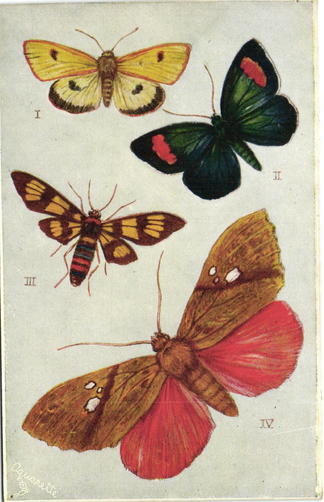 PC R. J. WEALTHY, ARTIST SIGNED, BUTTERFLIES, TUCK\'S, Vintage Postcard (b38587) PC R. J. WEALTHY, ARTIST SIGNED, BUTTERFLIES, TUCK\'S, Vintage Postcard (b38587)